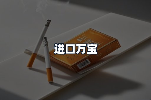 进口万宝